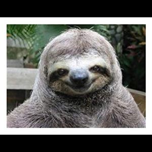 Meet your Posher, Erica